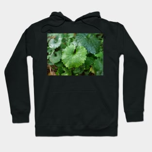 Green leaf look like dinosaur Hoodie